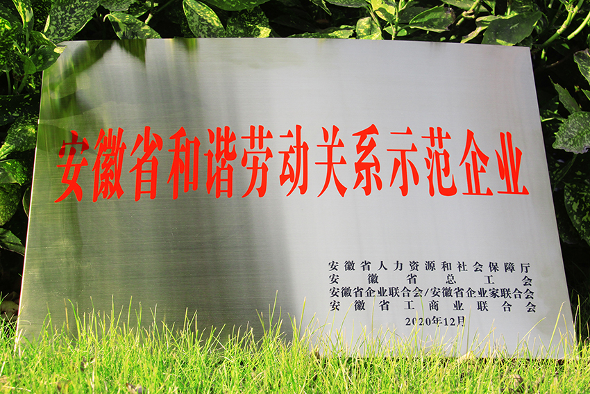 2020年榮獲“安徽省和諧勞動(dòng)關(guān)系示范企業(yè)”榮譽(yù)稱號(hào)
