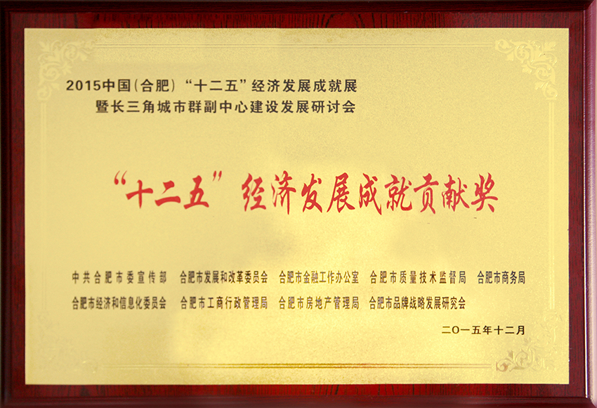 2015年十二五經(jīng)濟(jì)發(fā)展貢獻(xiàn)獎(jiǎng)